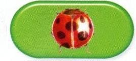 Ladybird Colourfully Cool Contact Lens Soaking Case