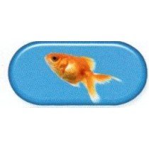 Goldfish Colourfully Cool Contact Lens Soaking Case