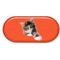 Kitten Colourfully Cool Contact Lens Soaking Case