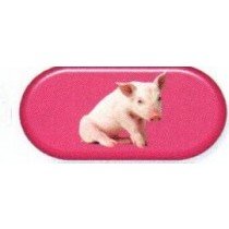 Piglet Colourfully Cool Contact Lens Soaking Case